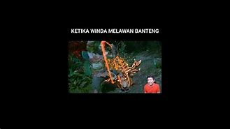 Lagu Banteng Merah Windah Basudara Mp4